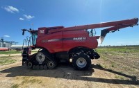 Lot 55