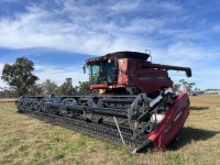 Lot 59