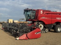 Lot 31